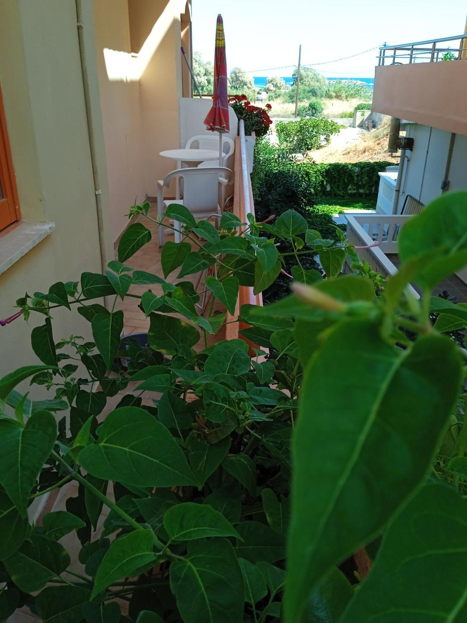 Ilona Apartments Chania カト・ダラトソ 部屋 写真