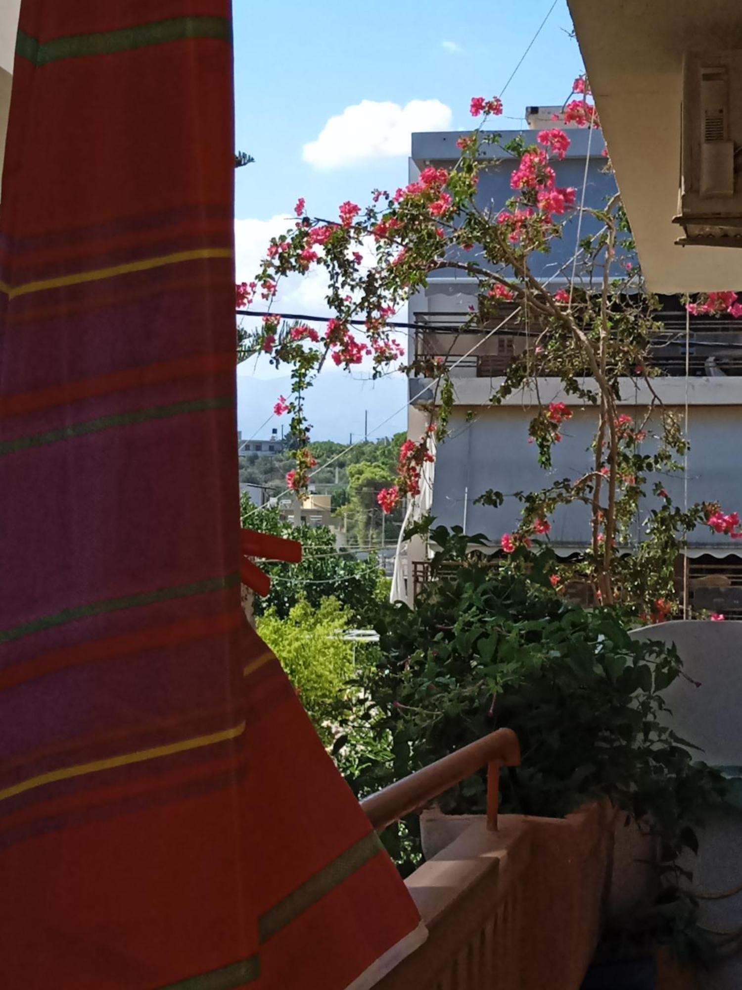 Ilona Apartments Chania カト・ダラトソ 部屋 写真