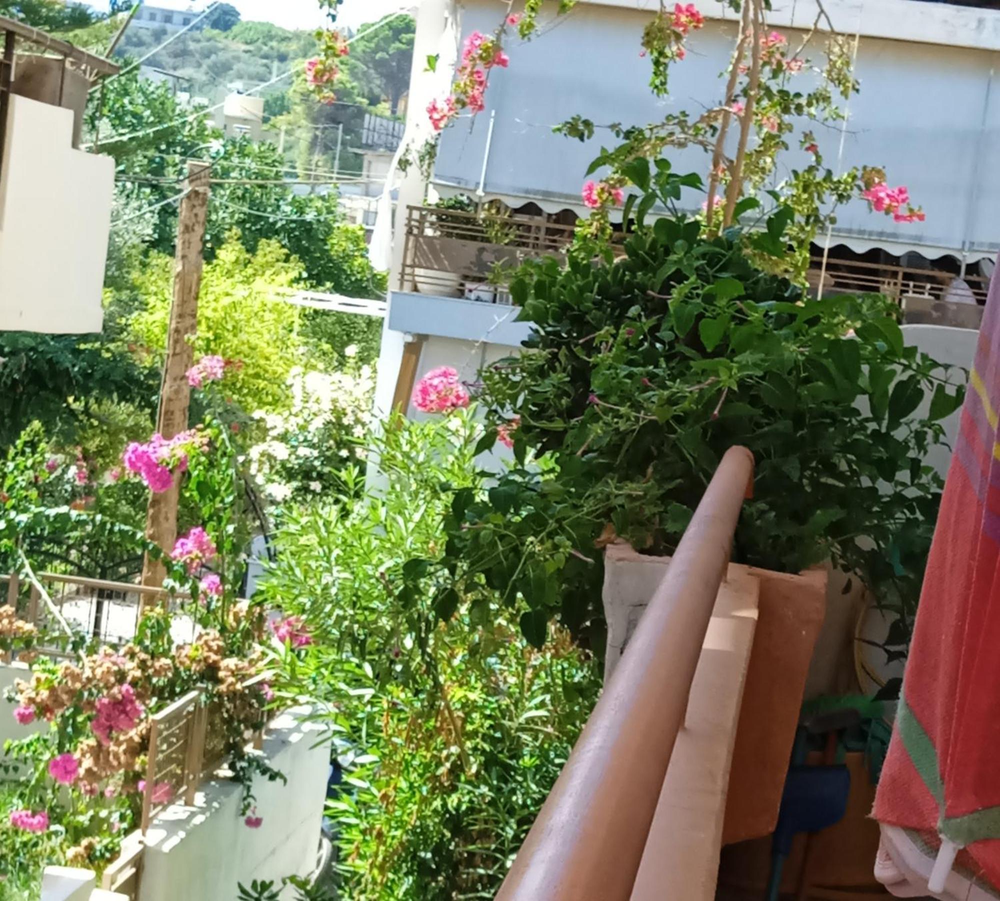 Ilona Apartments Chania カト・ダラトソ 部屋 写真