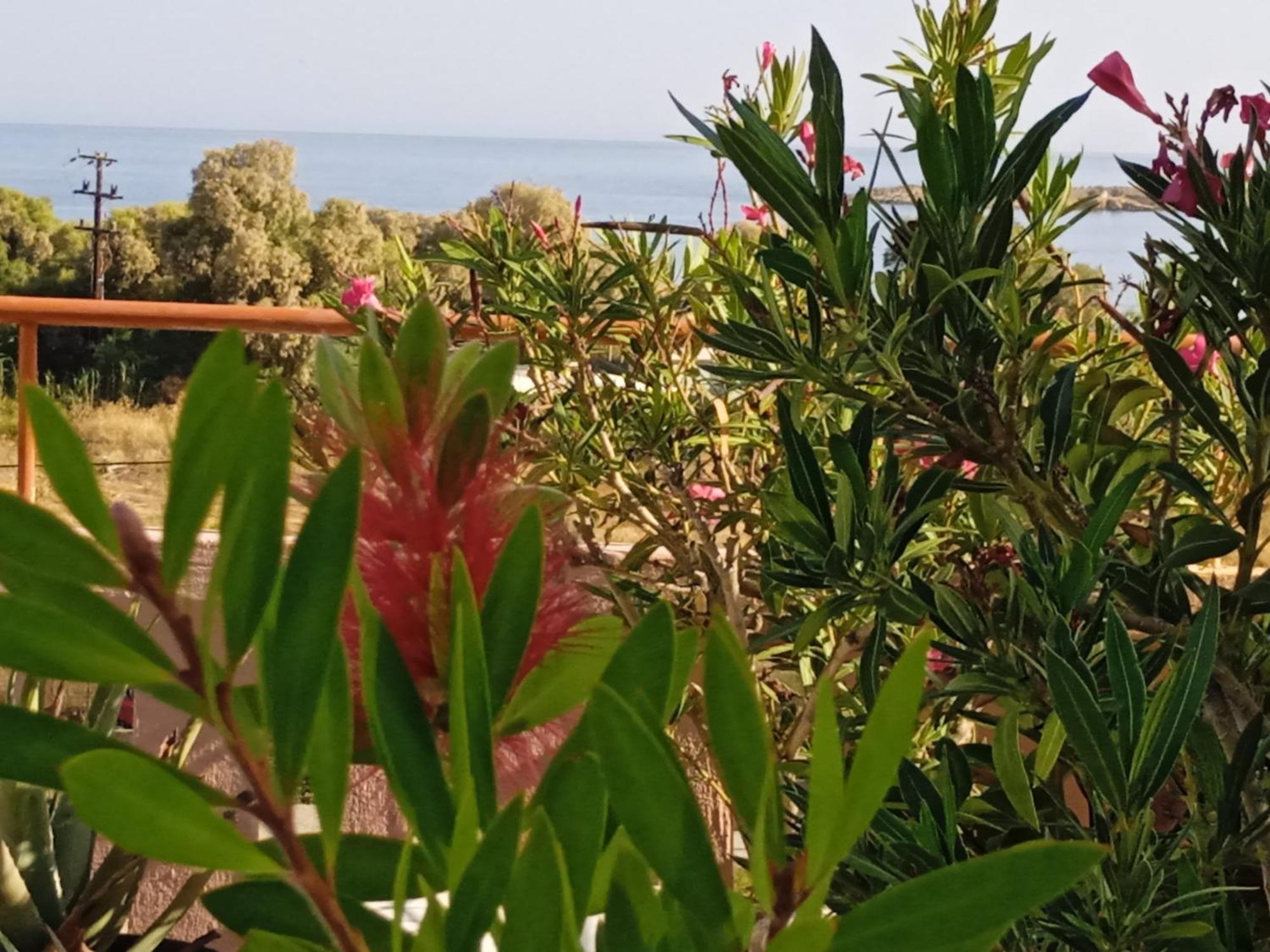 Ilona Apartments Chania カト・ダラトソ 部屋 写真