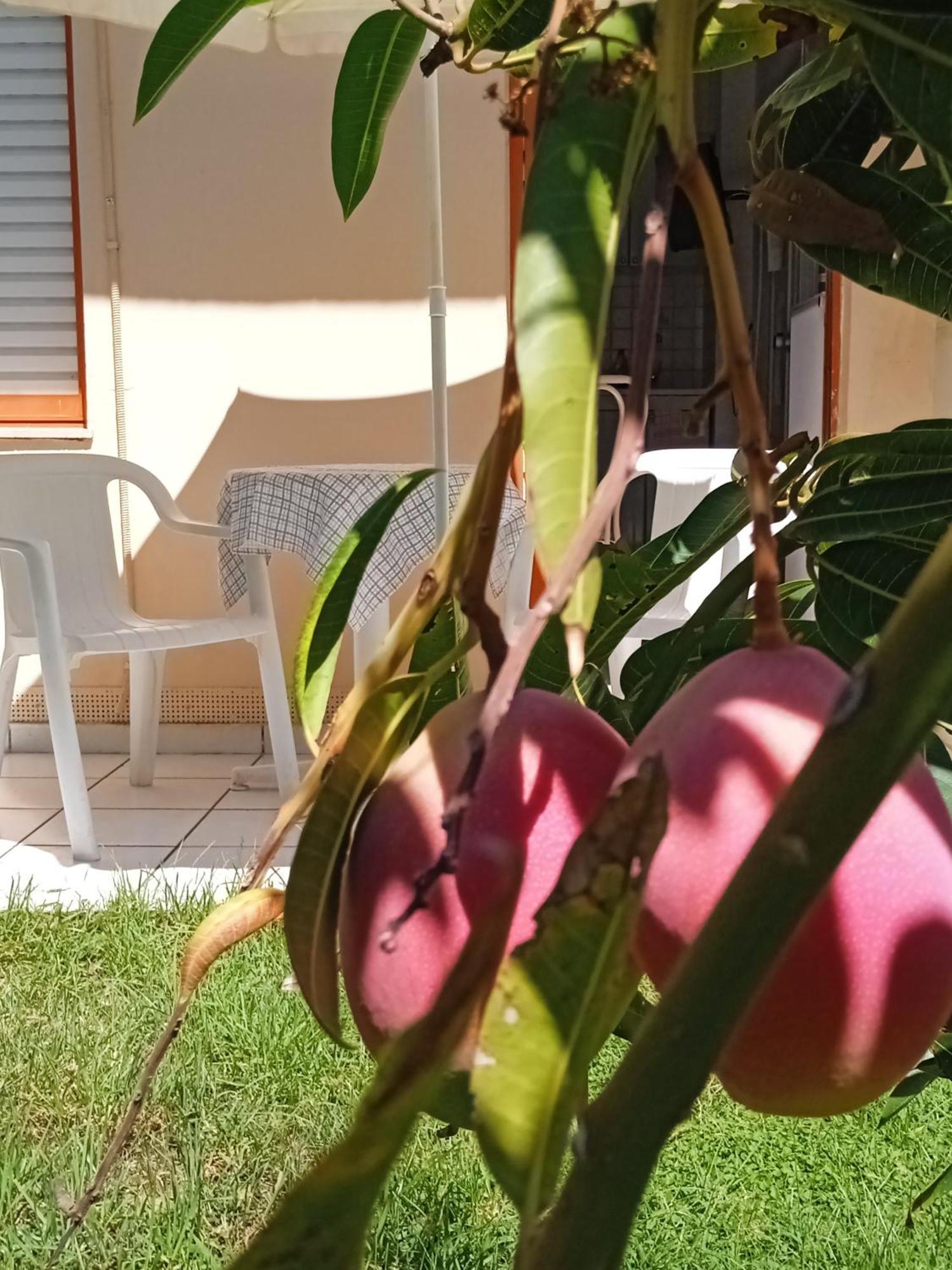 Ilona Apartments Chania カト・ダラトソ 部屋 写真