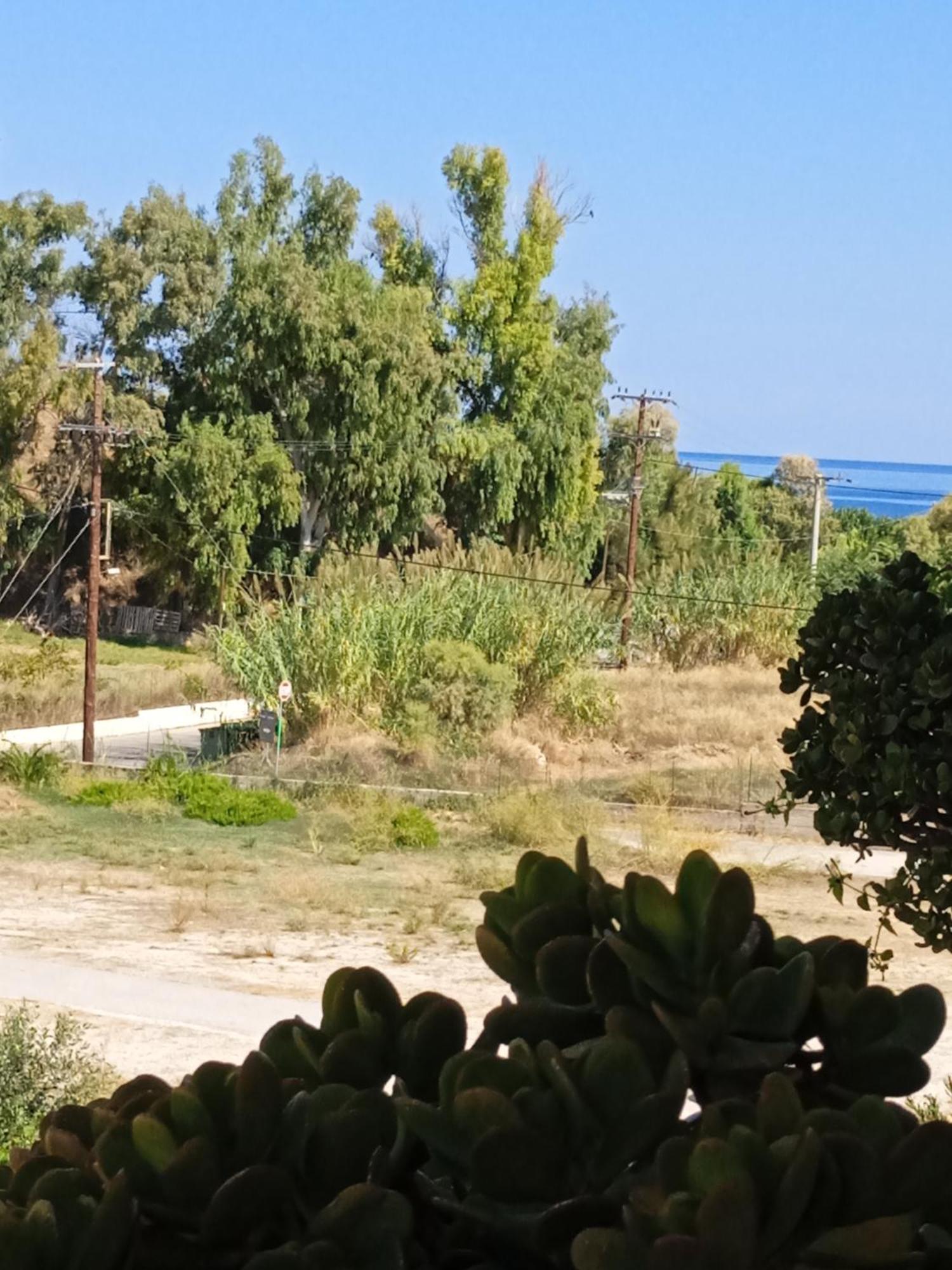 Ilona Apartments Chania カト・ダラトソ 部屋 写真