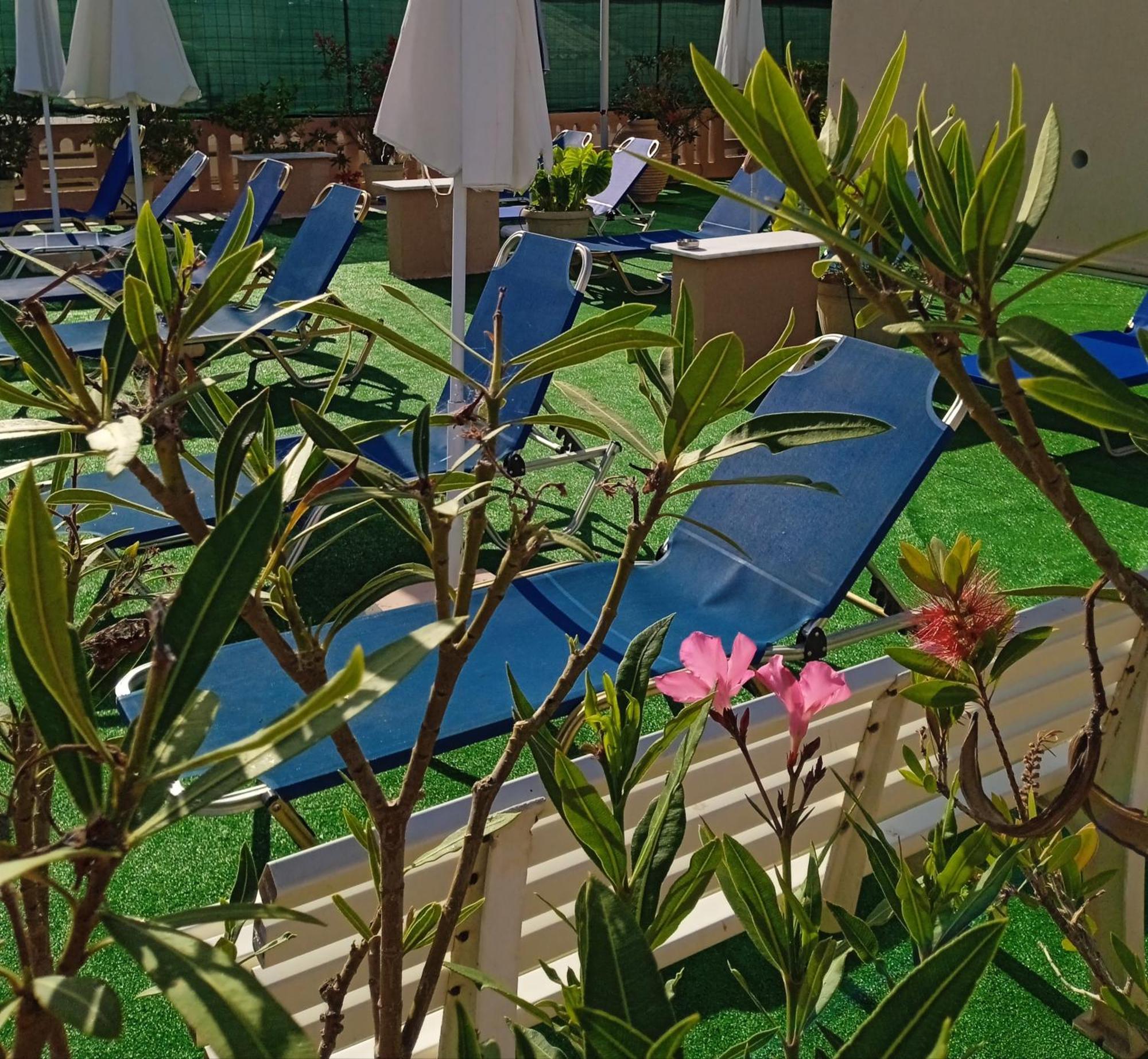 Ilona Apartments Chania カト・ダラトソ 部屋 写真